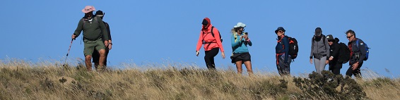 Stone Folk Trail